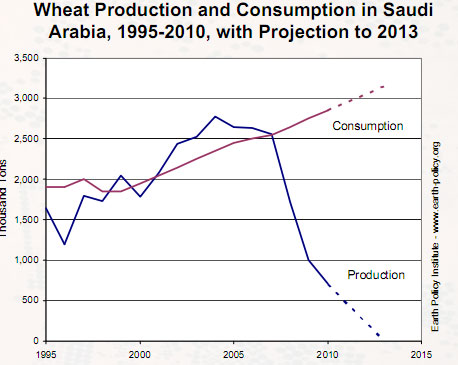 wheat production
