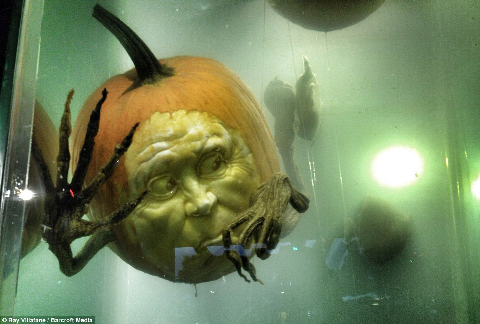 Creepy: Ray and his colleagues are exploring ways to pickle their creations in a bid to preserve them for more people to see