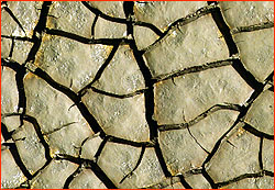drought